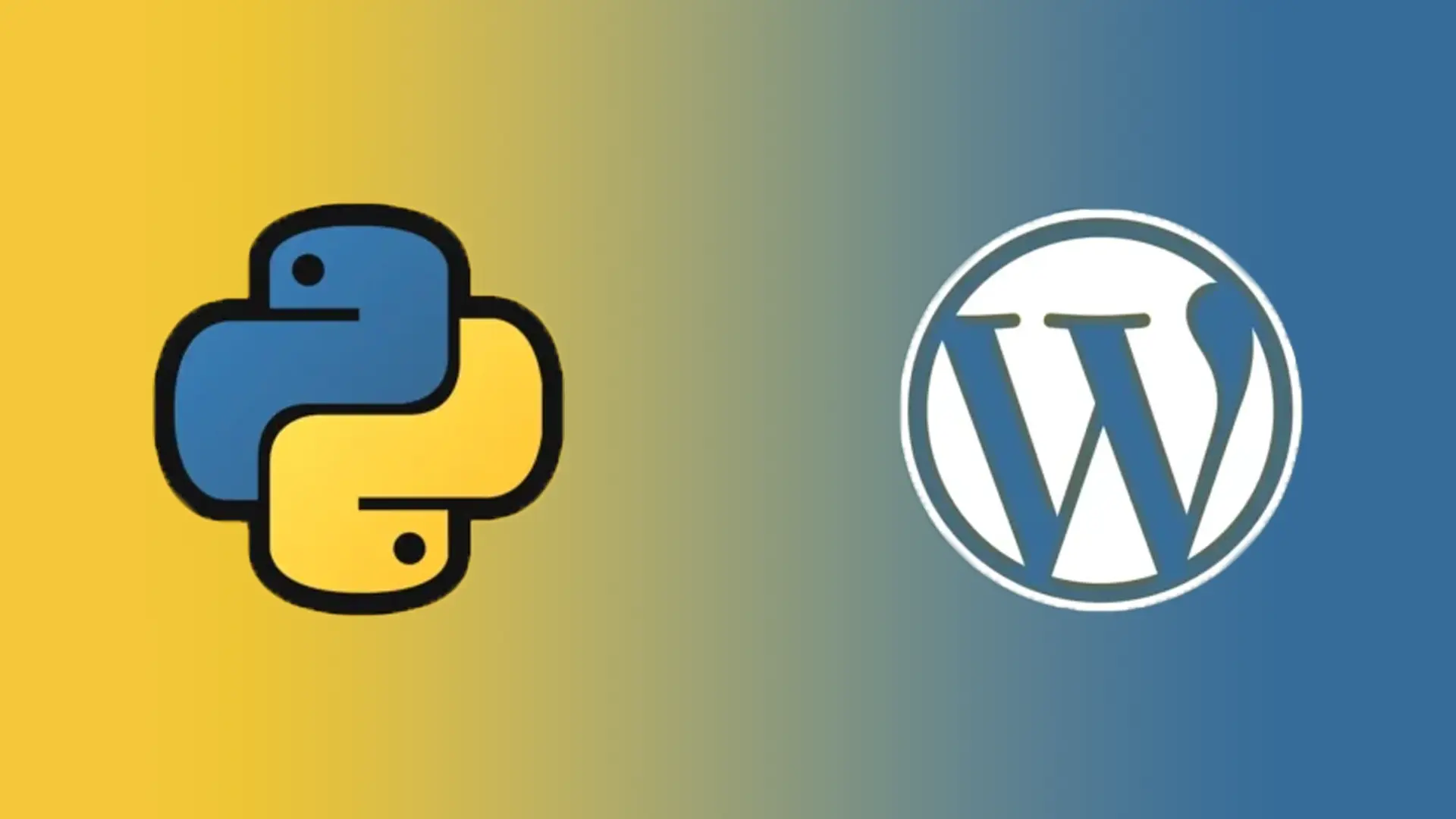 وردپرس یا پایتون